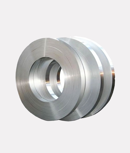 Stainless Steel Strip